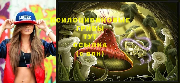 mdpv Бугульма