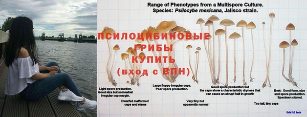mdpv Бугульма