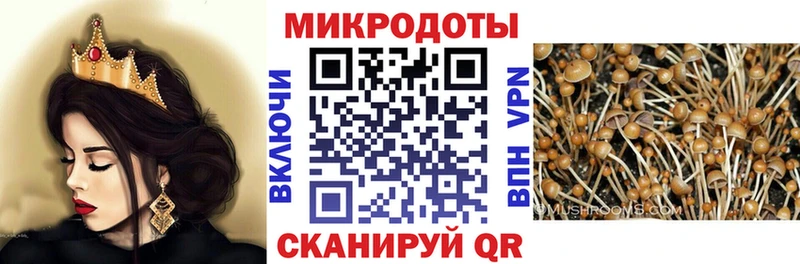 Галлюциногенные грибы Psilocybine cubensis Купить закладки Кропоткин